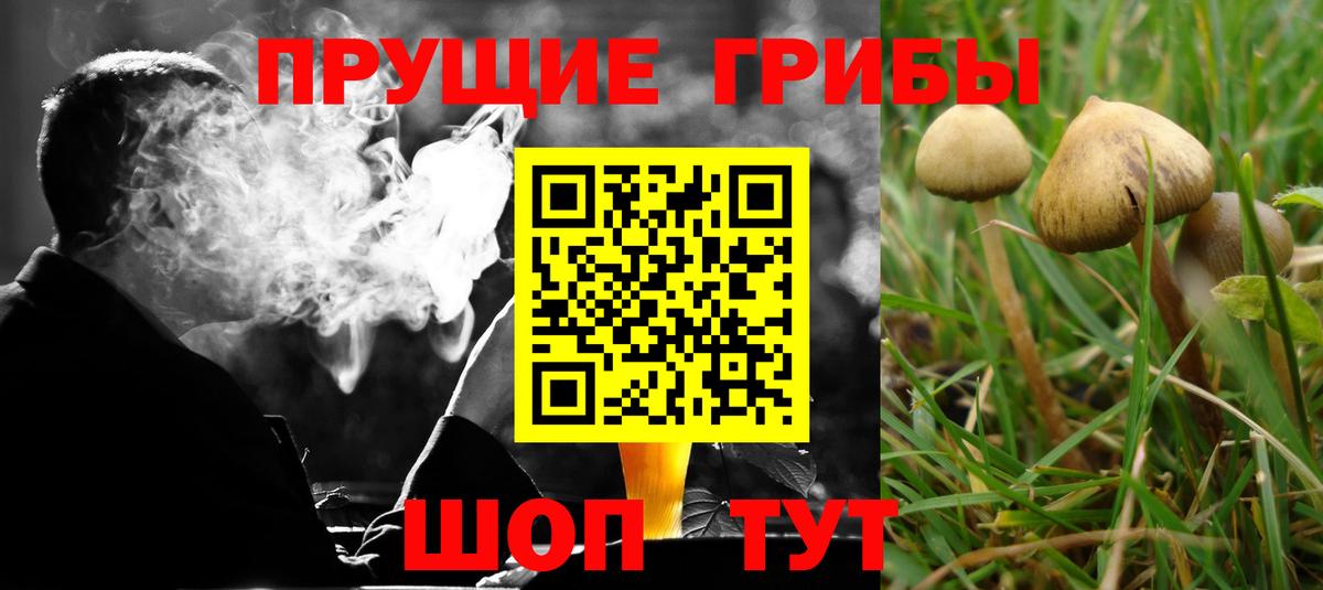 Галлюциногенные грибы MAGIC MUSHROOMS  Вход с VPN  Липецк 